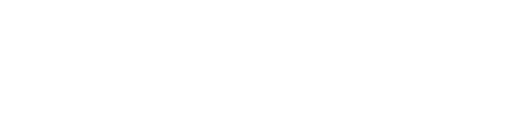 Valex Logo